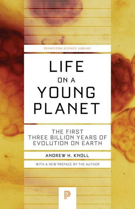 Read Online Life On A Young Planet Free Book Read