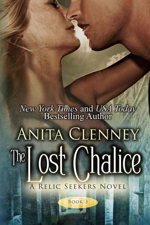 Read Online The Lost Chalice The Relic Seekers Book 3